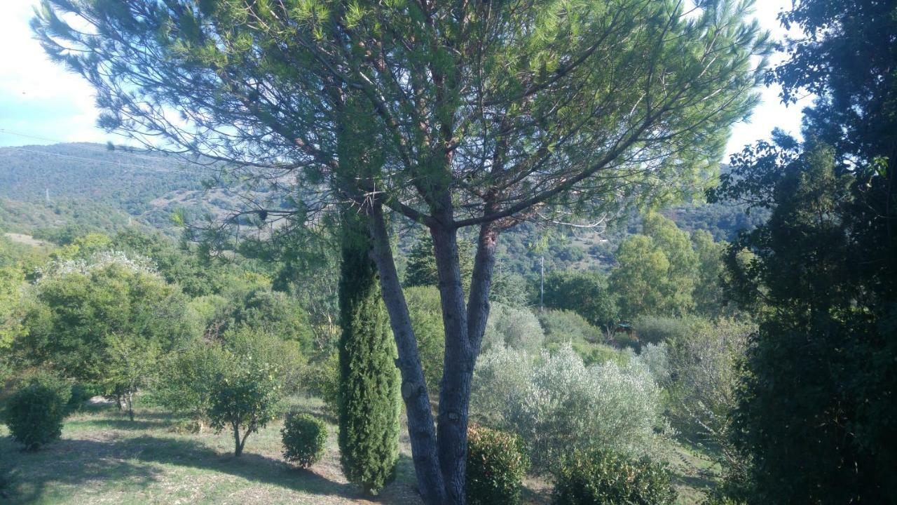 Villa Degli Olmi Allumiere 외부 사진